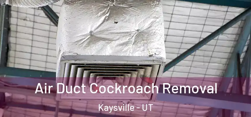  Air Duct Cockroach Removal Kaysville - UT
