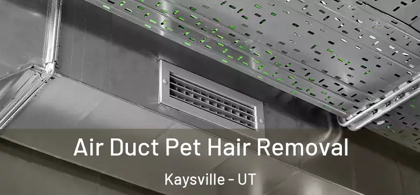 Air Duct Pet Hair Removal Kaysville - UT