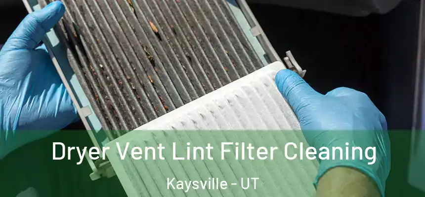  Dryer Vent Lint Filter Cleaning Kaysville - UT
