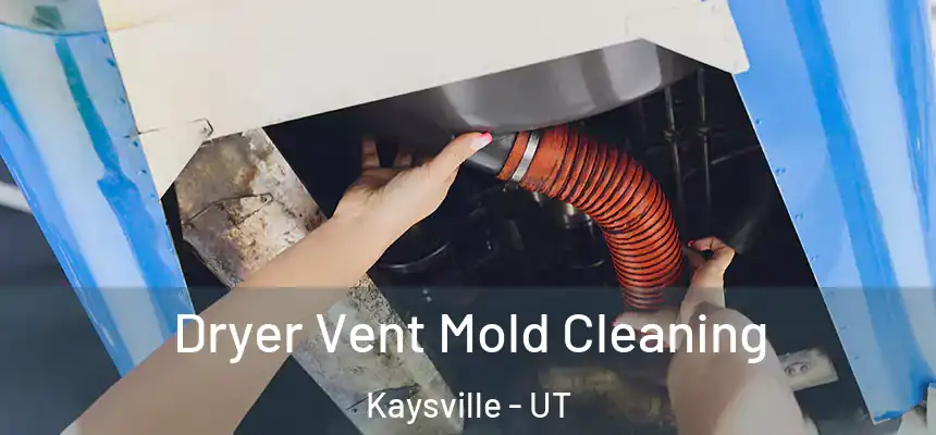  Dryer Vent Mold Cleaning Kaysville - UT