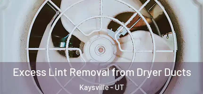 Excess Lint Removal from Dryer Ducts Kaysville - UT