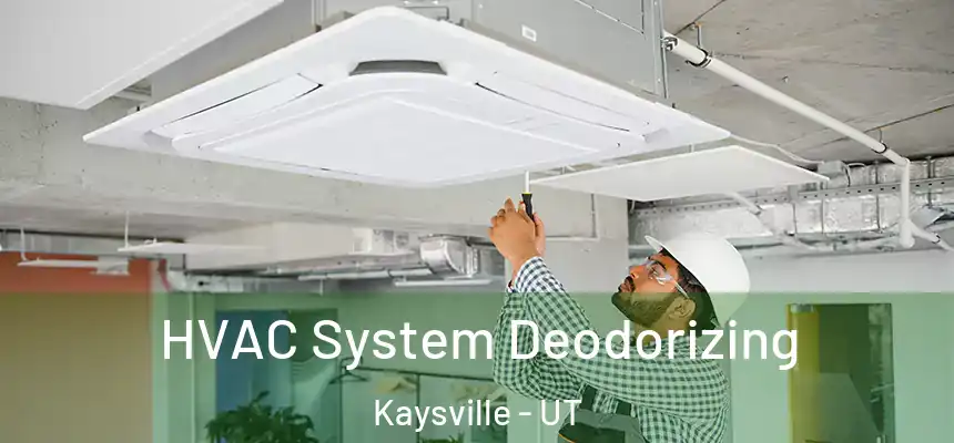  HVAC System Deodorizing Kaysville - UT