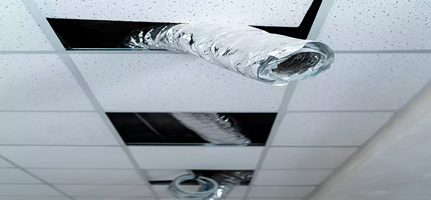 Affordable HVAC Sanitizing After Pest Removal in Kaysville