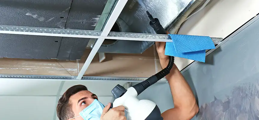 Our Air Duct Rodent Removal Services in Kaysville, UT