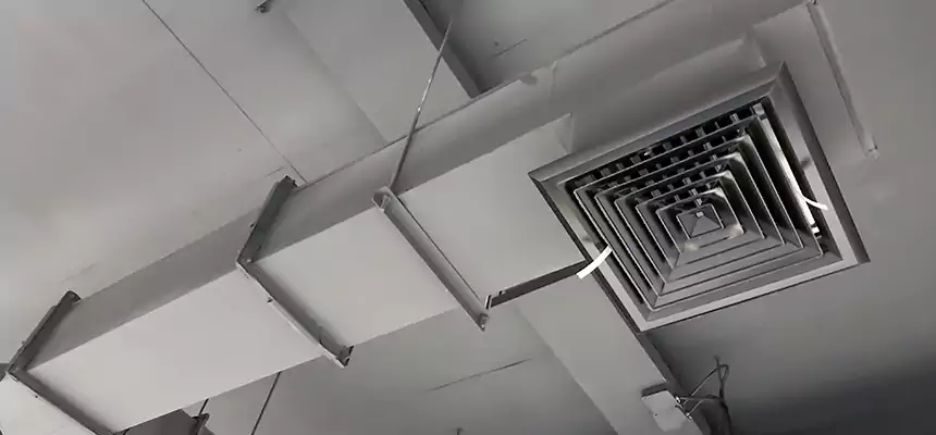 Our Rodent Droppings In Vents Services in Kaysville, UT