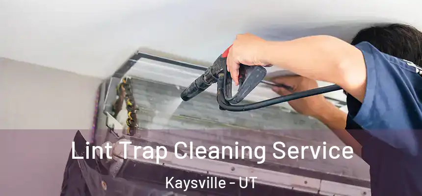  Lint Trap Cleaning Service Kaysville - UT