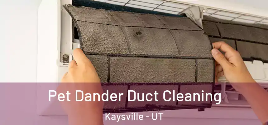  Pet Dander Duct Cleaning Kaysville - UT
