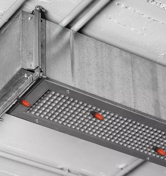 About Air Duct Cockroach Removal in Kaysville, UT