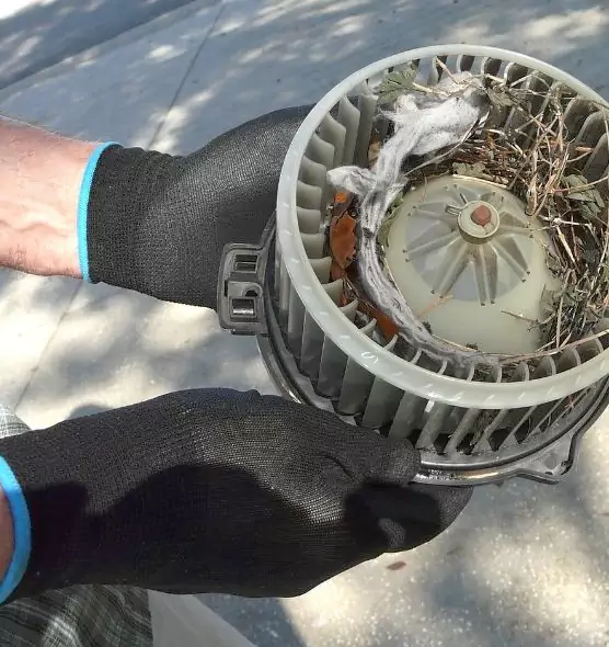 About Air Duct Rat Removal in Kaysville, UT