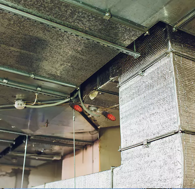 Why Homeowners & Businesses Trust Us Kaysville, UT?