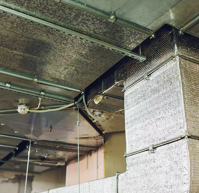 Why Homeowners & Businesses Trust Us in Kaysville, UT?